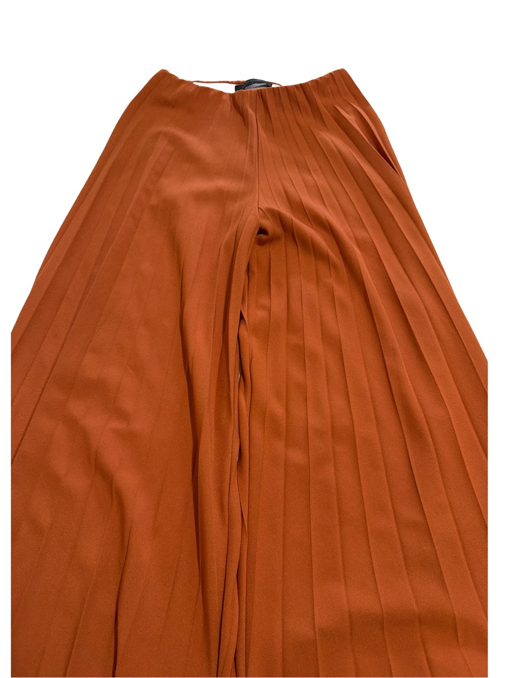 Pleated Wide-Leg Pants in Rust Orange